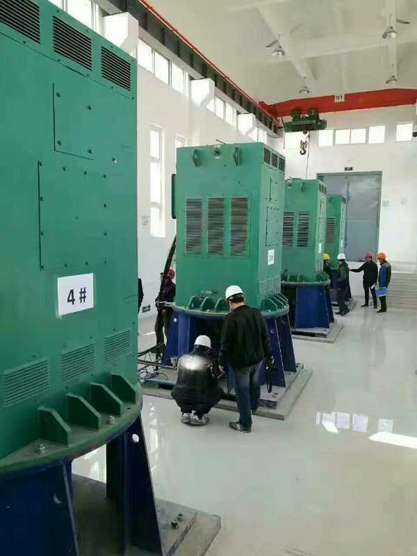 东明某污水处理厂使用我厂的立式高压电机安装现场